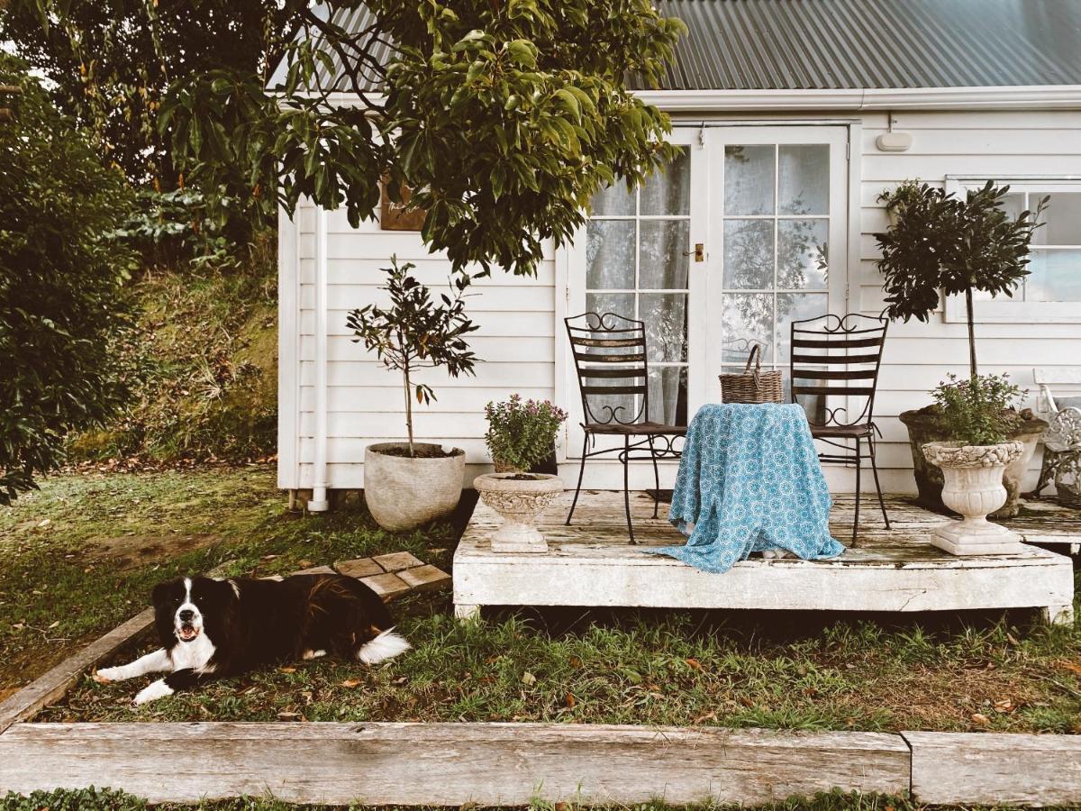 Thistle And Pine Cottage Farmstay Tauranga Extérieur photo