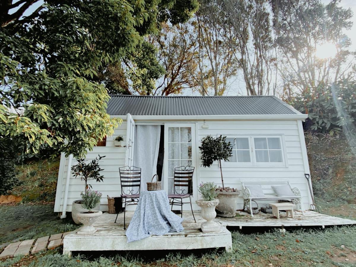 Thistle And Pine Cottage Farmstay Tauranga Extérieur photo