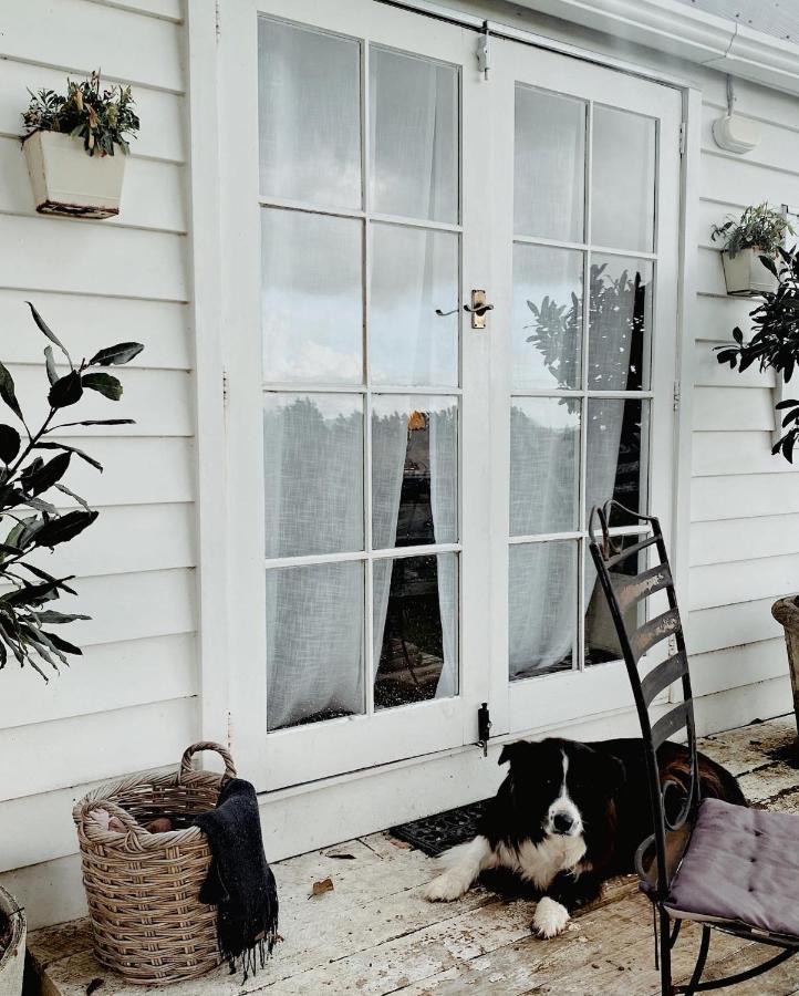 Thistle And Pine Cottage Farmstay Tauranga Extérieur photo